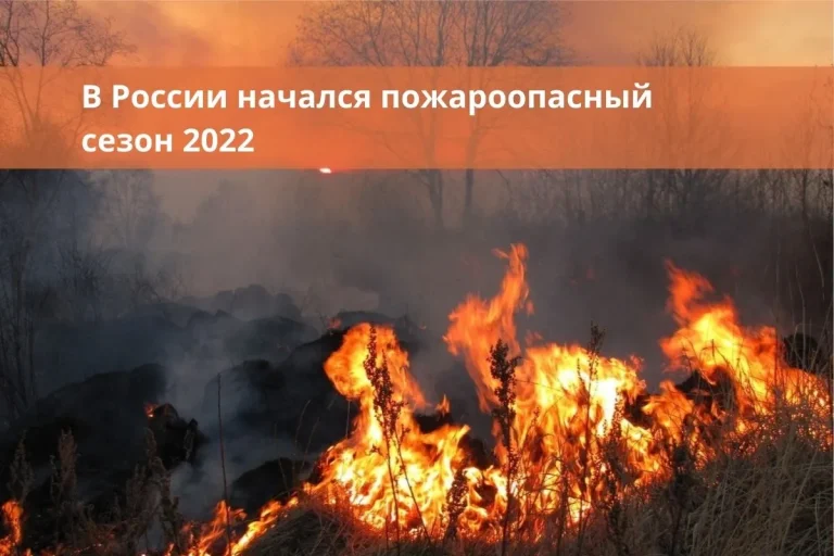 В России начался пожароопасный сезон 2022